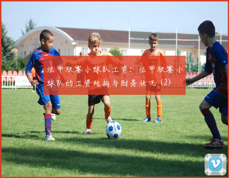 法甲联赛小球队工资:法甲联赛小球队的工资结构与财务状况 (2)