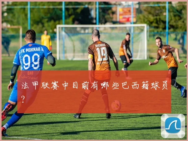 法甲联赛中目前有哪些巴西籍球员?