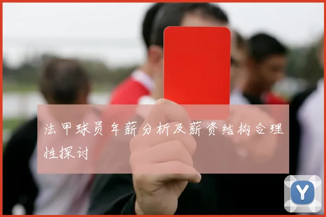 法甲球员年薪分析及薪资结构合理性探讨