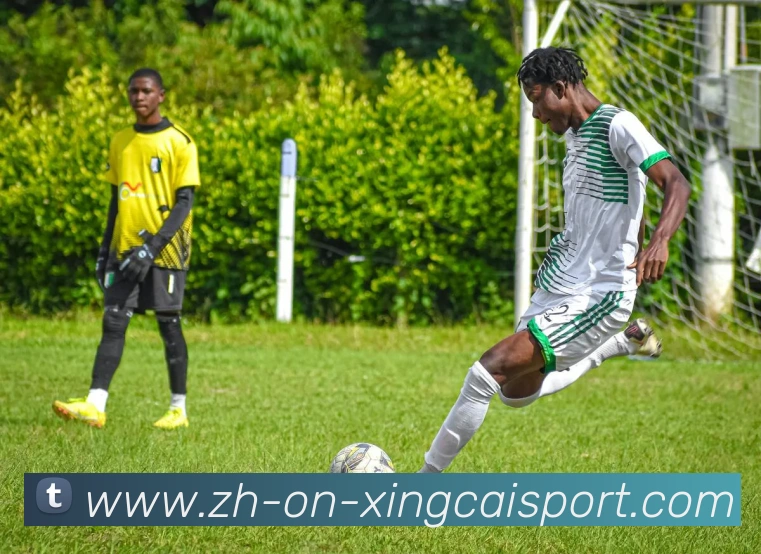 杏彩体育品牌故事