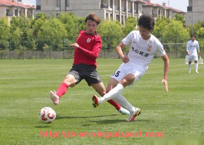 杏彩体育-红牛公司赞助的德甲球队有哪些？商业布局透视